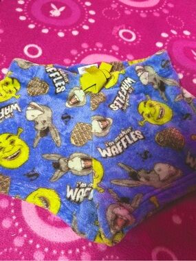 Shrek & Donkey Plush Soft Pajama Shorts Size Small